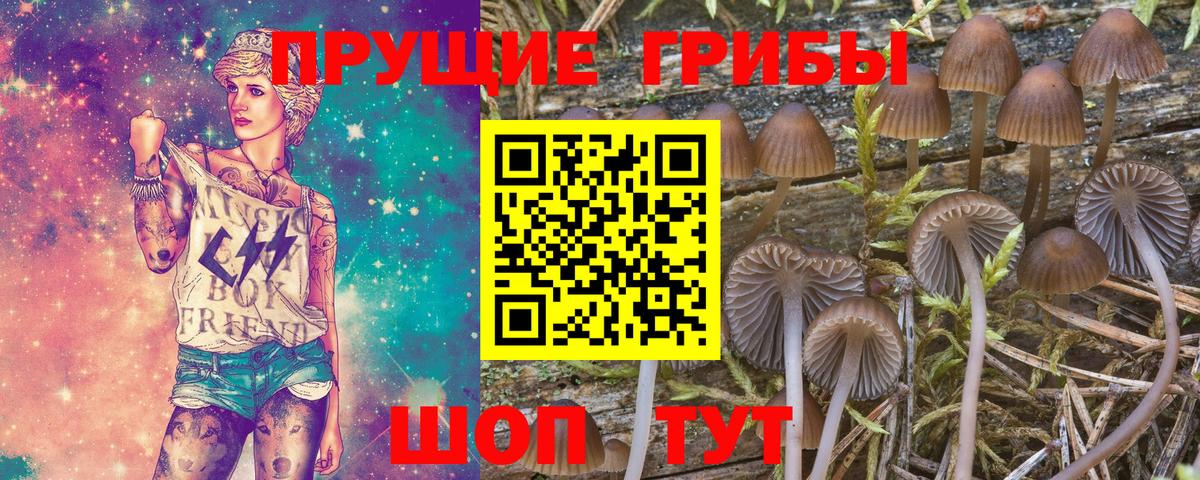 Псилоцибиновые грибы мицелий  Вход с VPN  Фурманов 